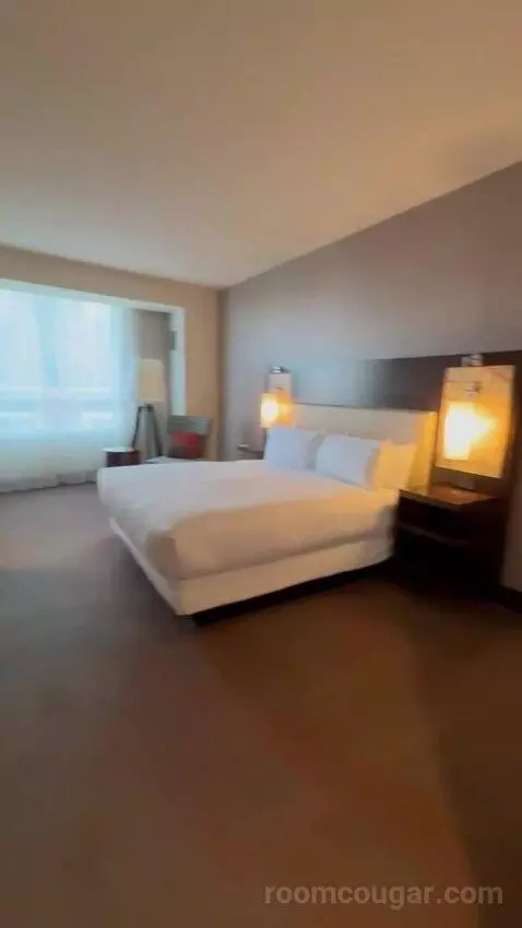 King Room picture #18