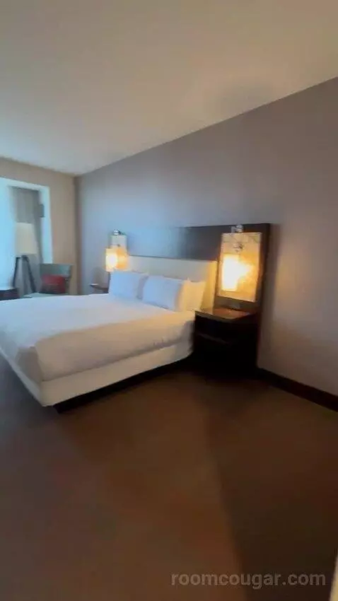King Room picture #19