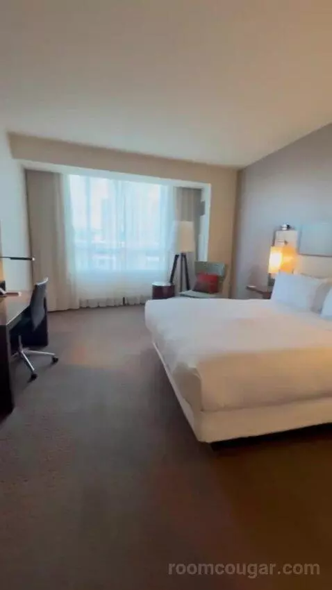 King Room picture #20