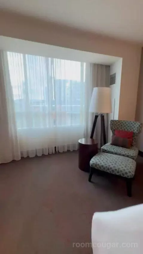 King Room picture #22