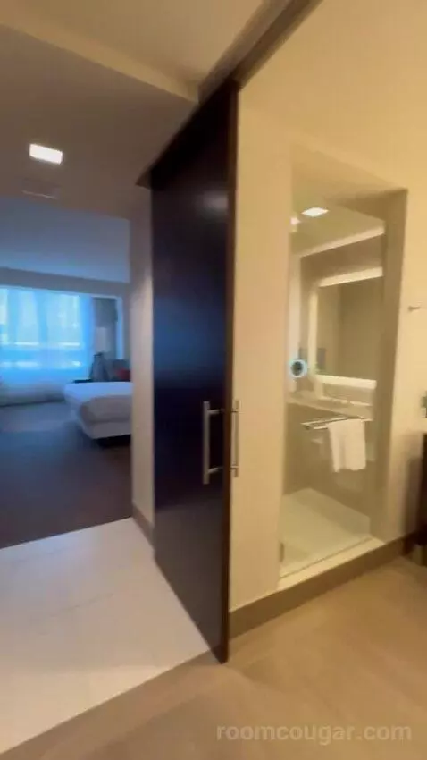 King Room picture #4