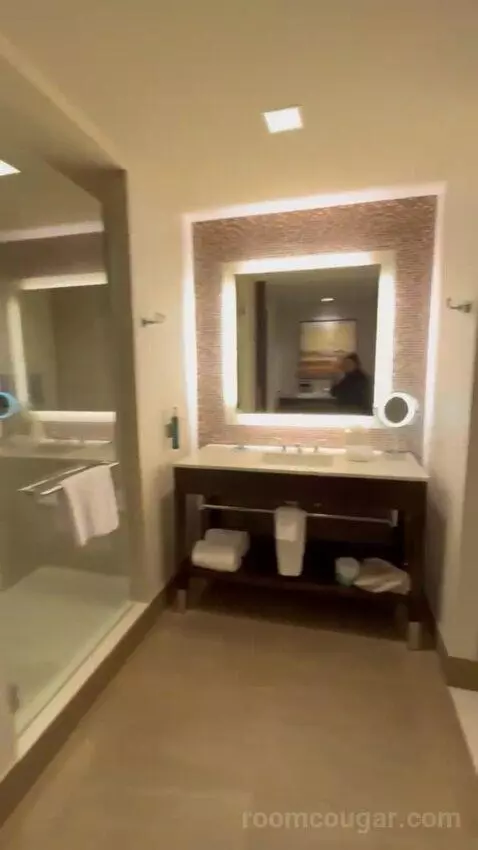 King Room bathroom picture #1
