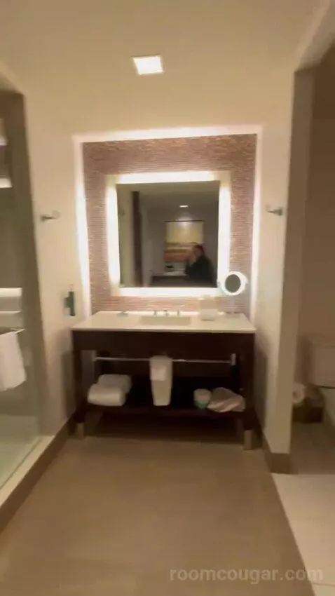 King Room bathroom picture #3