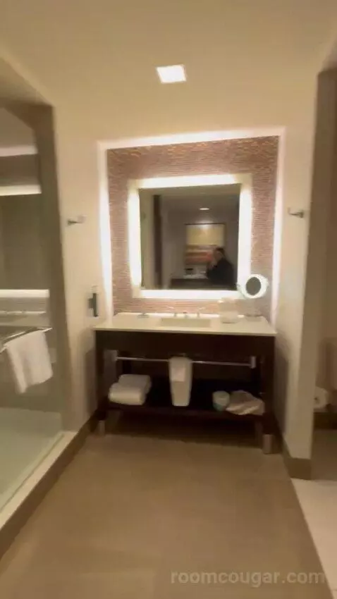 King Room picture #5