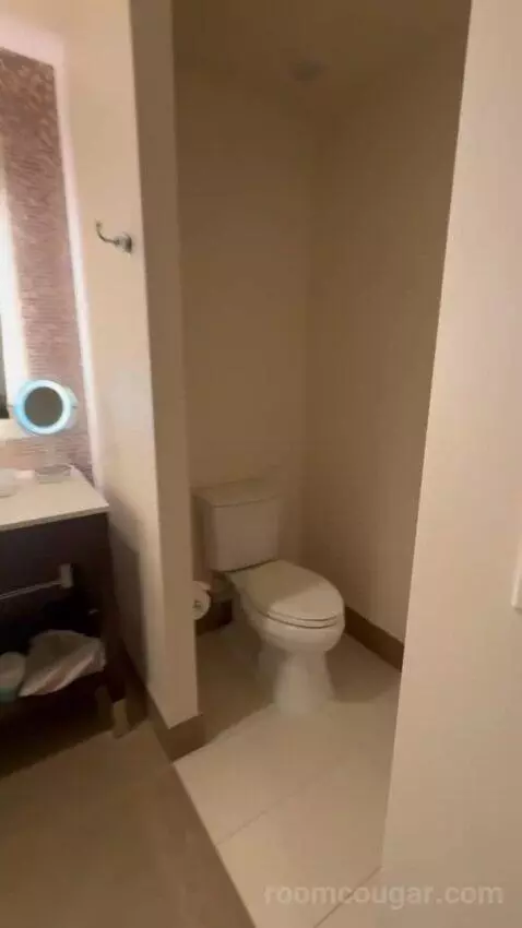 King Room bathroom picture #4