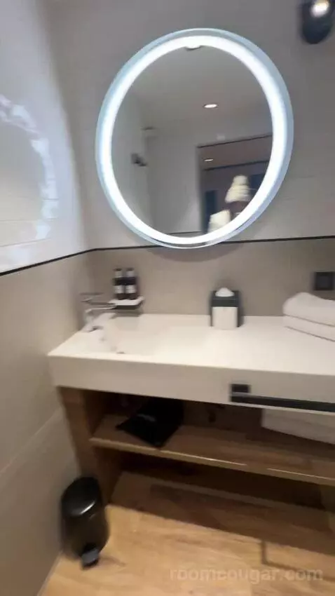 Standard Studio Bedroom bathroom picture #7