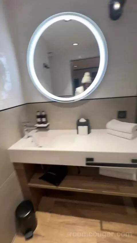 Standard Studio Bedroom bathroom picture #8