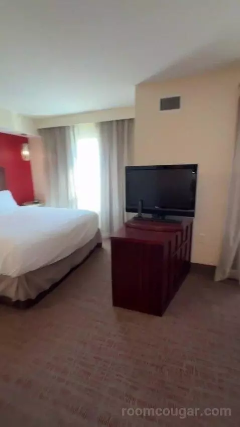 Queen Studio with Sofa Bed bed picture #8