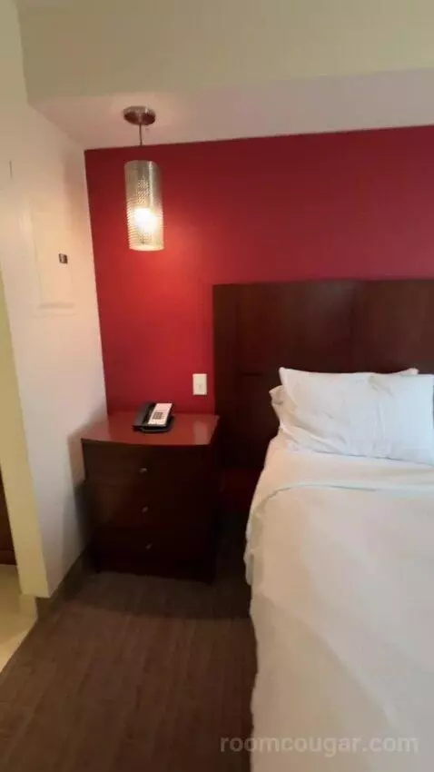Queen Studio with Sofa Bed bed picture #11