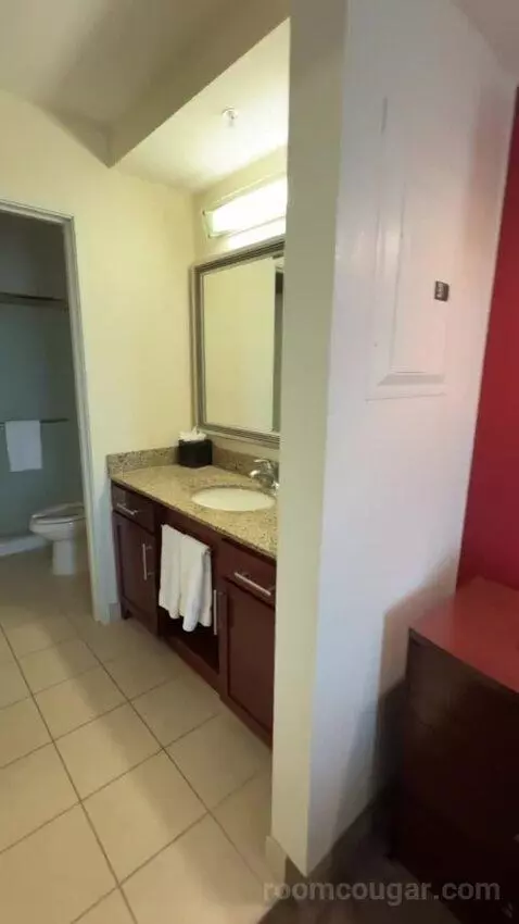 Queen Studio with Sofa Bed bathroom picture #1