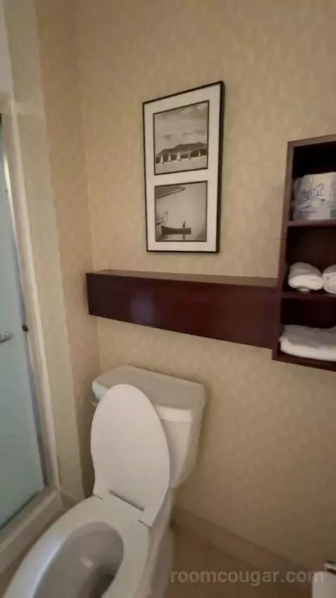 Queen Studio with Sofa Bed bathroom picture #5
