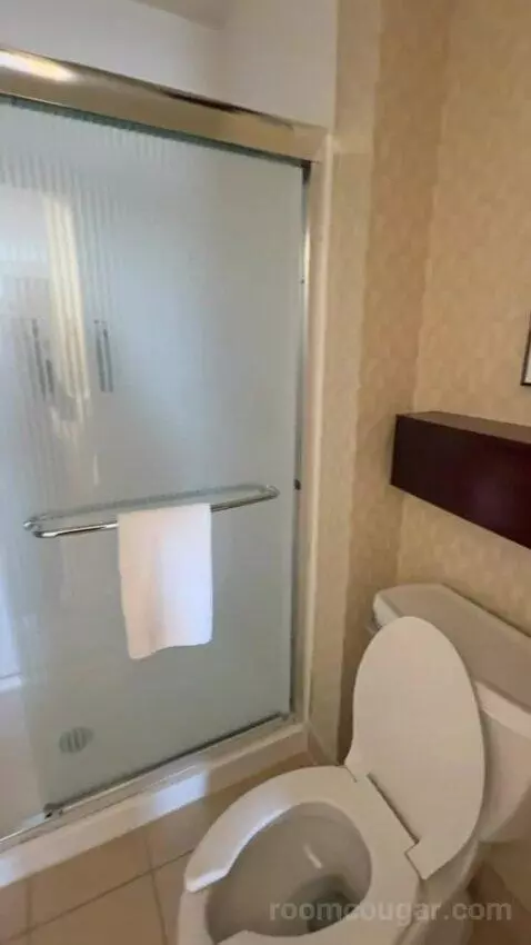 Queen Studio with Sofa Bed bathroom picture #6
