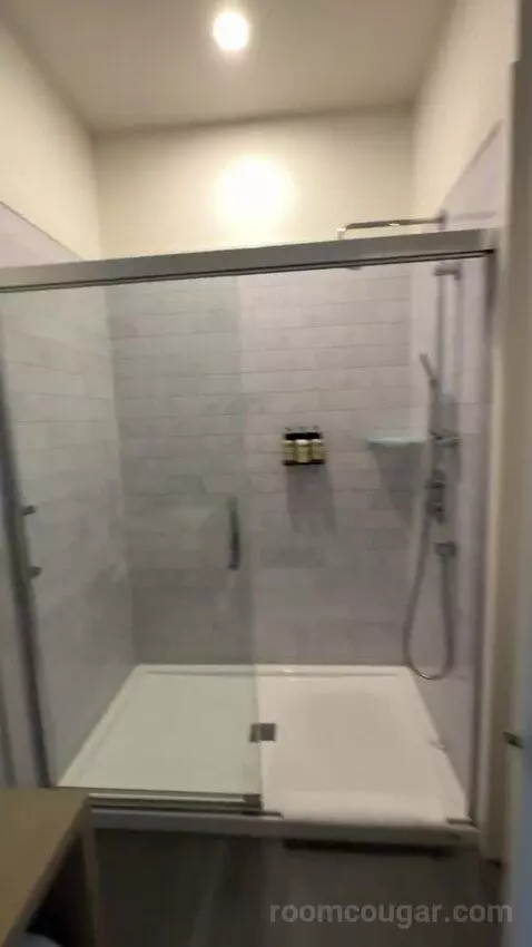 Wolf Chalet bathroom picture #10