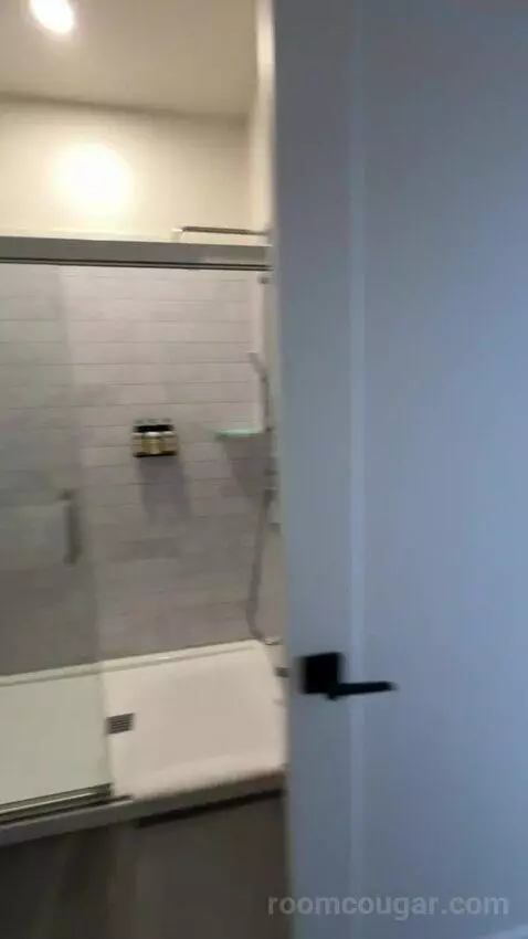 Wolf Chalet bathroom picture #12