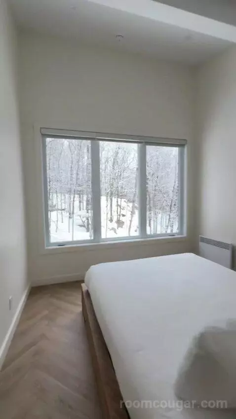 Wolf Chalet bed picture #6