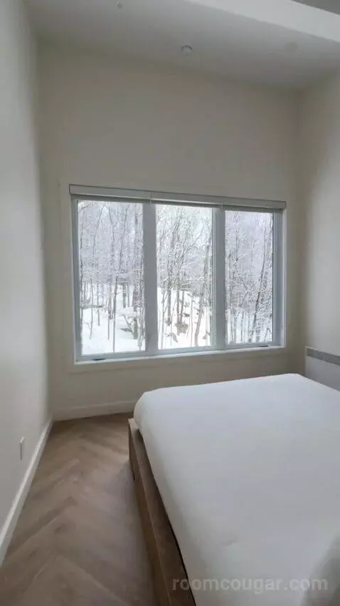 Wolf Chalet bed picture #7
