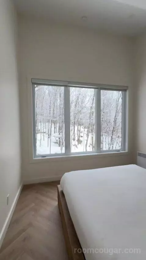 Wolf Chalet bed picture #8