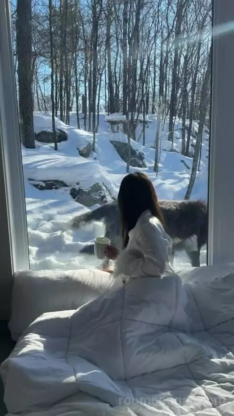 Wolf Chalet bed picture #10