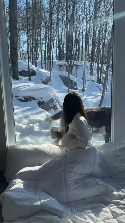 Wolf Chalet bed picture #11