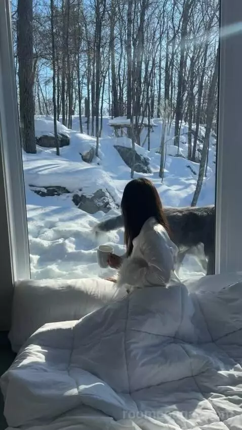 Wolf Chalet bed picture #12