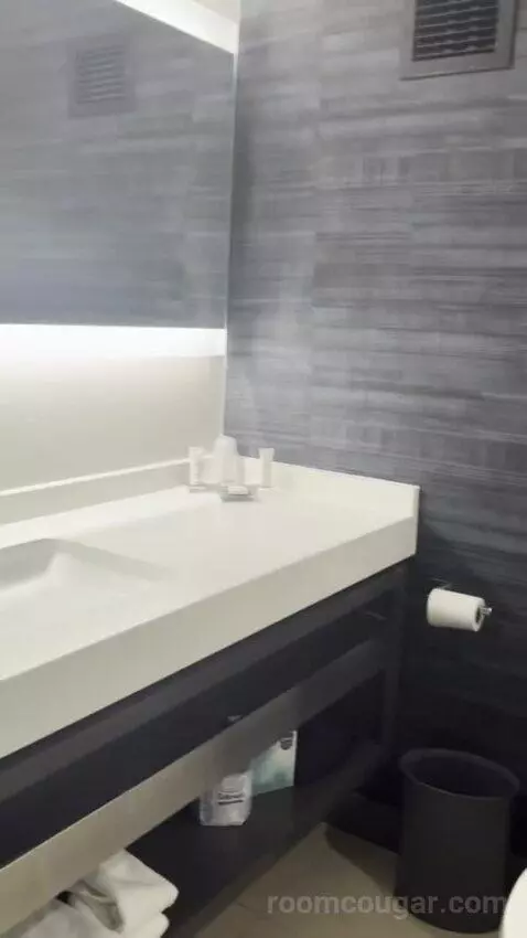 King Room bathroom picture #3