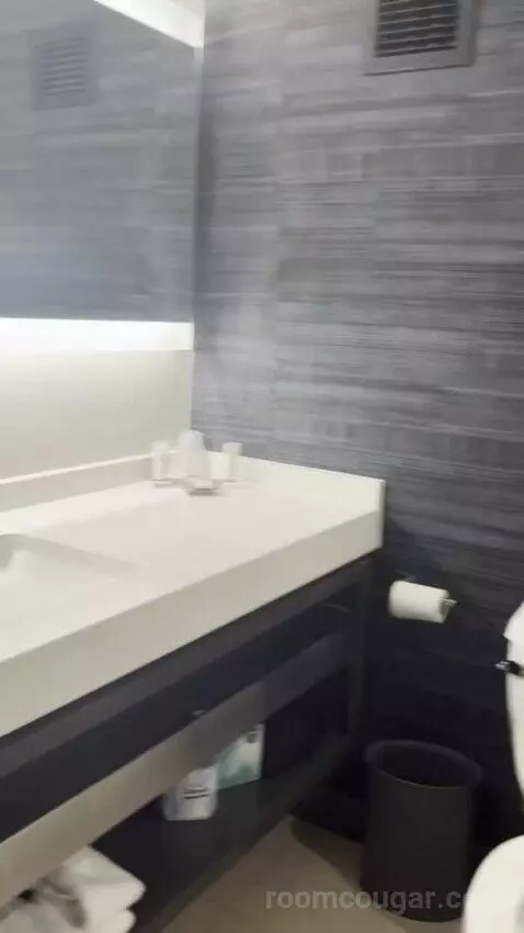 King Room bathroom picture #4