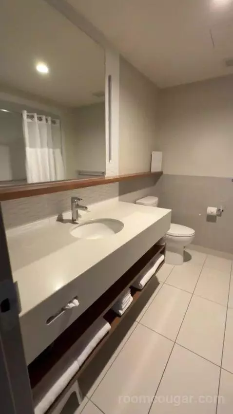 King Suite bathroom picture #3