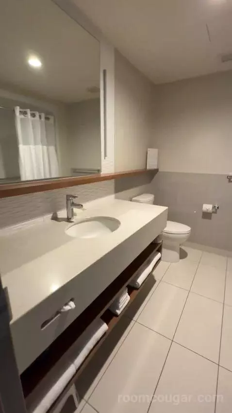 King Suite bathroom picture #4