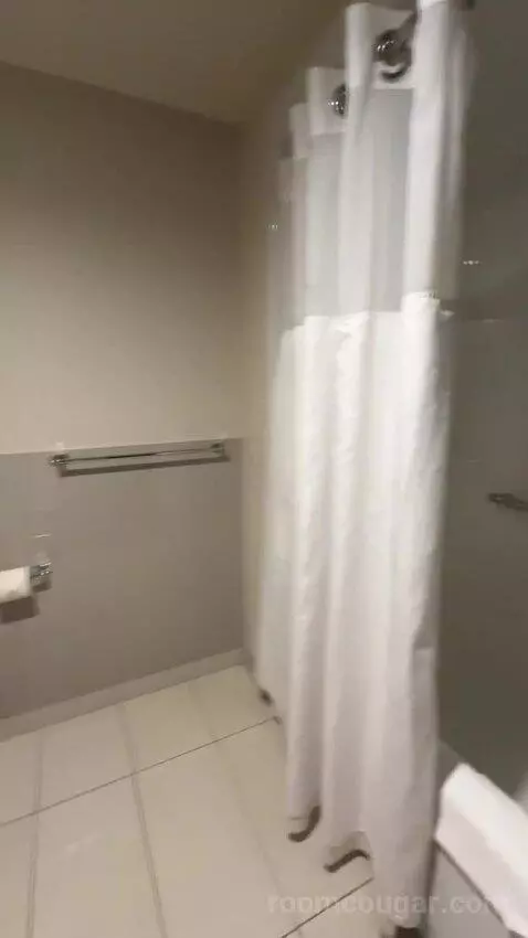 King Suite bathroom picture #7