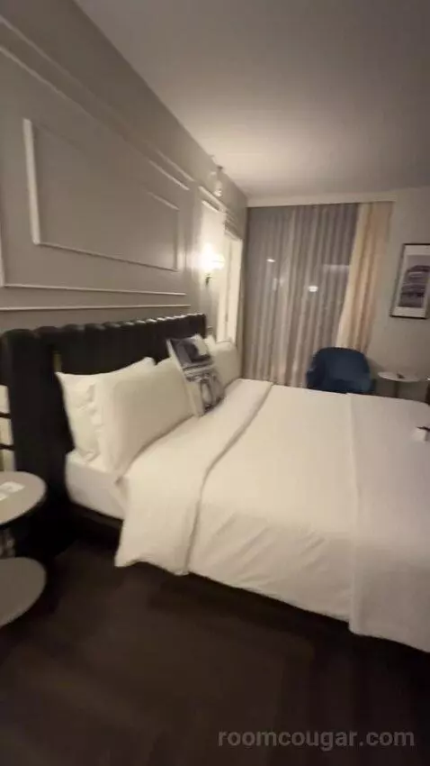 Horizon Room bed picture #5