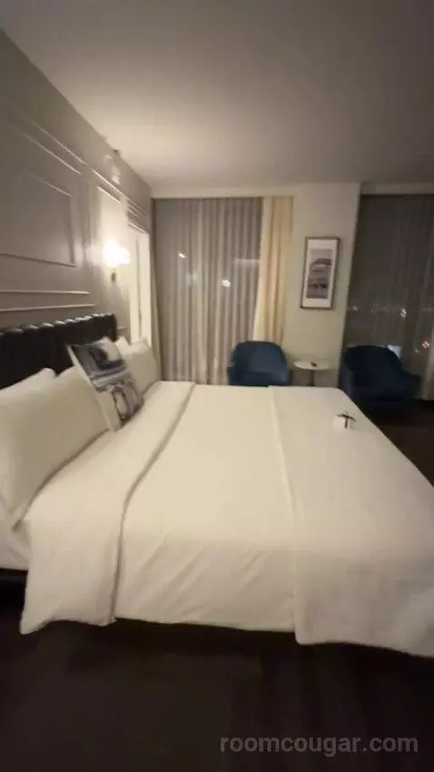 Horizon Room bed picture #8