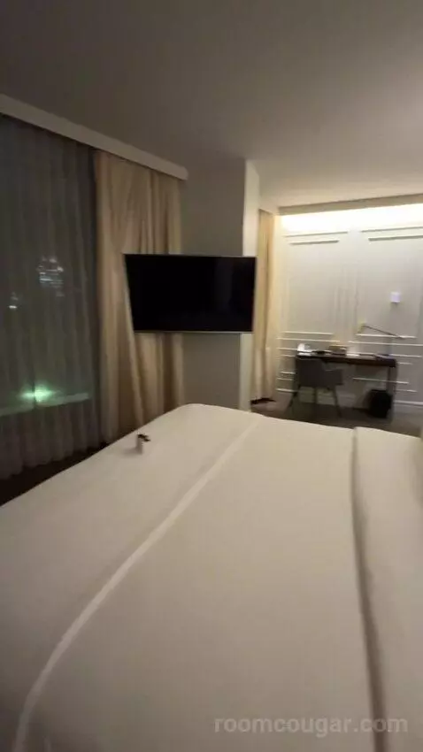 Horizon Room bed picture #10