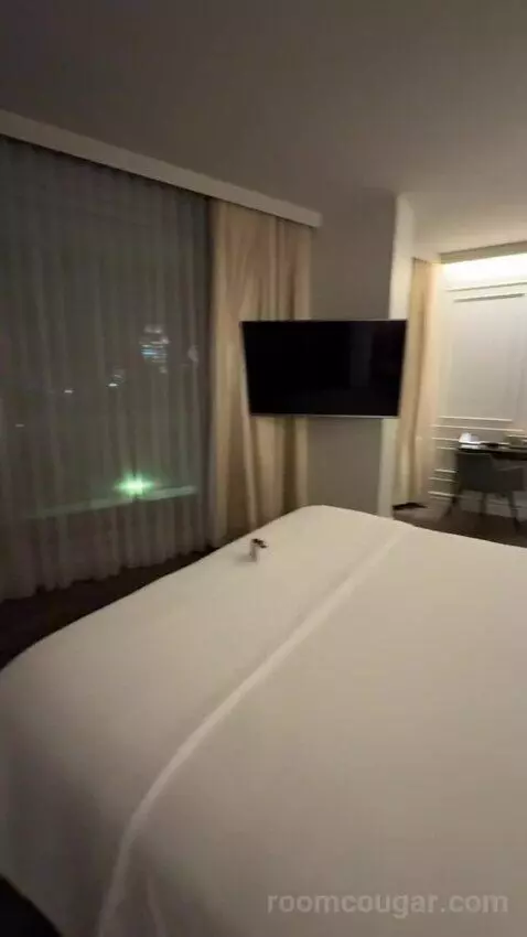 Horizon Room bed picture #12