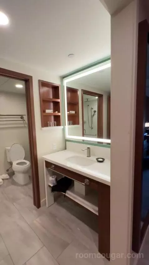 Premium Garden View - 2 Queen Beds bathroom picture #3