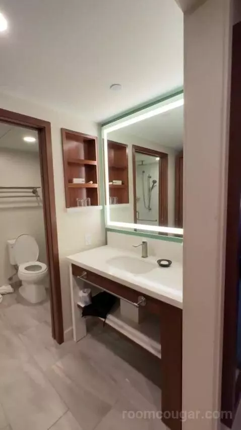 Premium Garden View - 2 Queen Beds bathroom picture #4