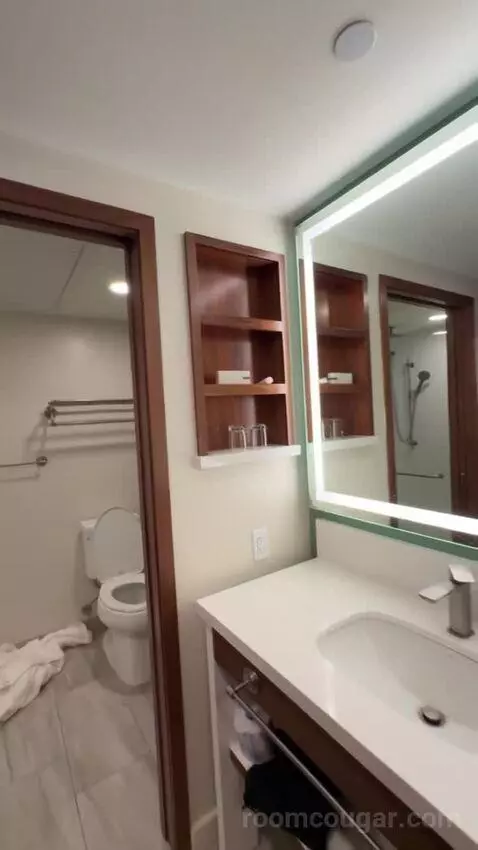Premium Garden View - 2 Queen Beds bathroom picture #5