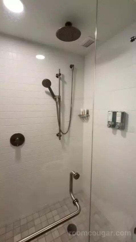 Premium Garden View - 2 Queen Beds bathroom picture #9