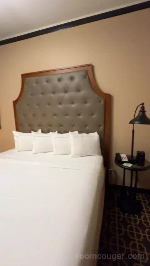 Queen Room bed picture #6