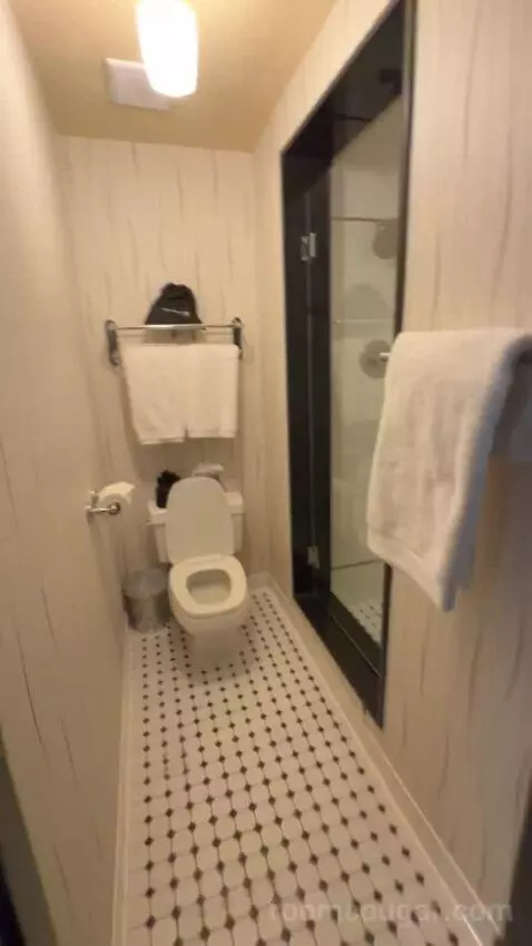 Queen Room bathroom picture #4