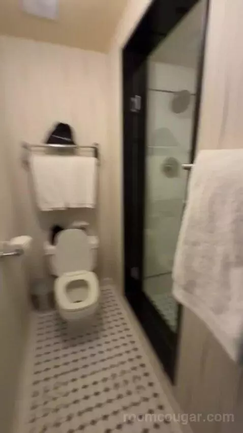 Queen Room bathroom picture #5