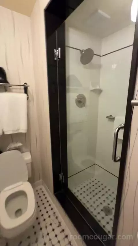 Queen Room bathroom picture #6