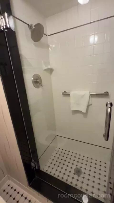Queen Room bathroom picture #8