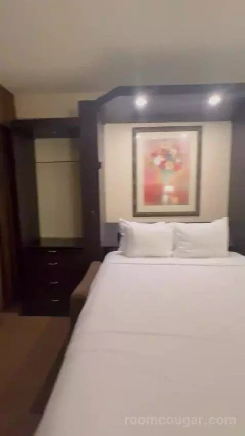 Studio 1 Queen Murphy Bed with Balcony bed picture #5