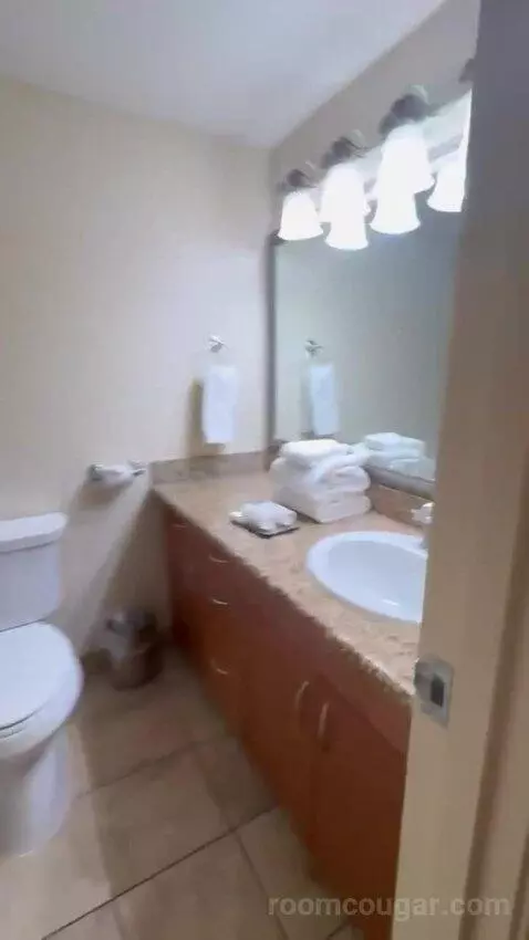 Studio 1 Queen Murphy Bed with Balcony bathroom picture #4
