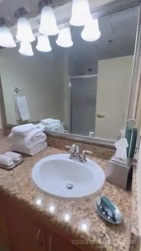 Studio 1 Queen Murphy Bed with Balcony bathroom picture #5