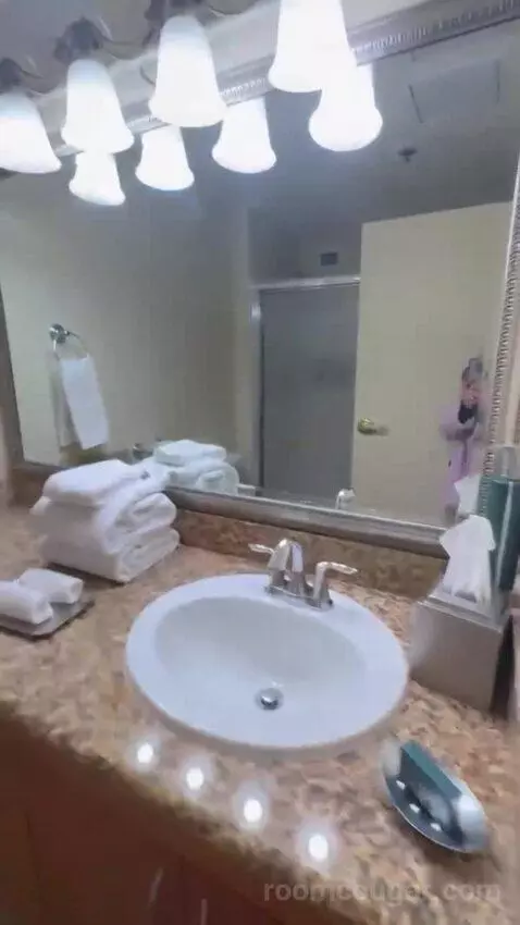 Studio 1 Queen Murphy Bed with Balcony bathroom picture #6