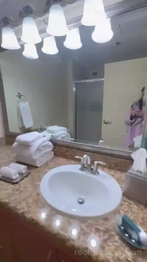 Studio 1 Queen Murphy Bed with Balcony bathroom picture #7