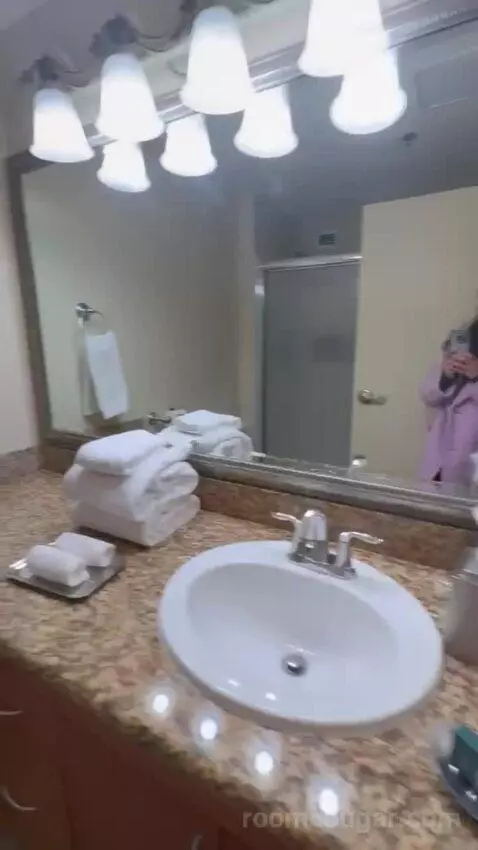 Studio 1 Queen Murphy Bed with Balcony bathroom picture #8