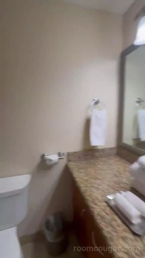 Studio 1 Queen Murphy Bed with Balcony bathroom picture #9