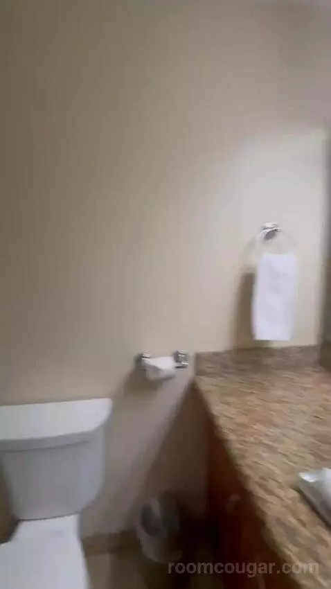 Studio 1 Queen Murphy Bed with Balcony bathroom picture #10